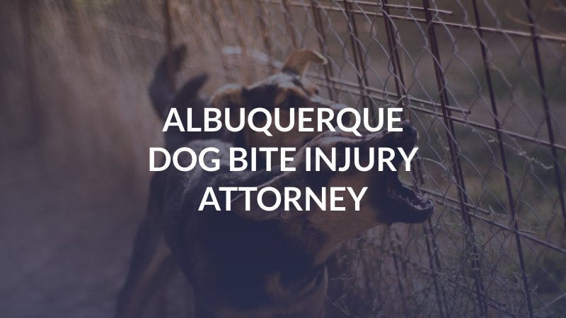 Albuquerque Dog Bite Injury Attorney