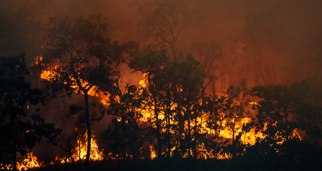 Fire on hills and trees