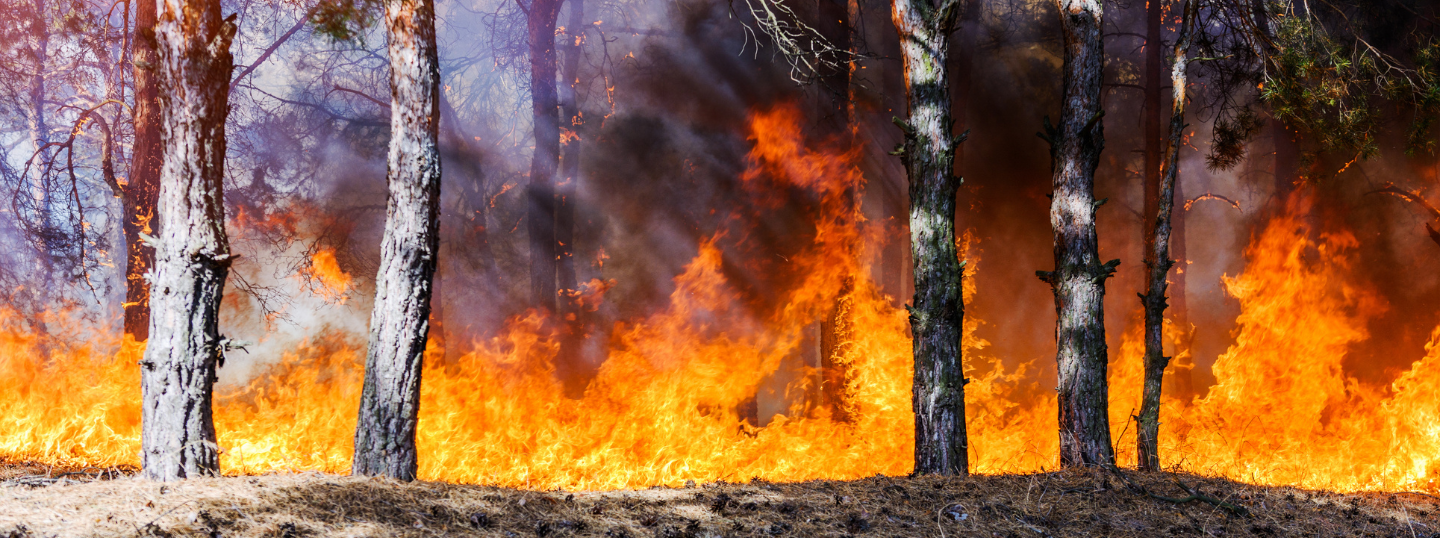 Washington electric utility company gets sued for allegedly sparking fatal wildfire