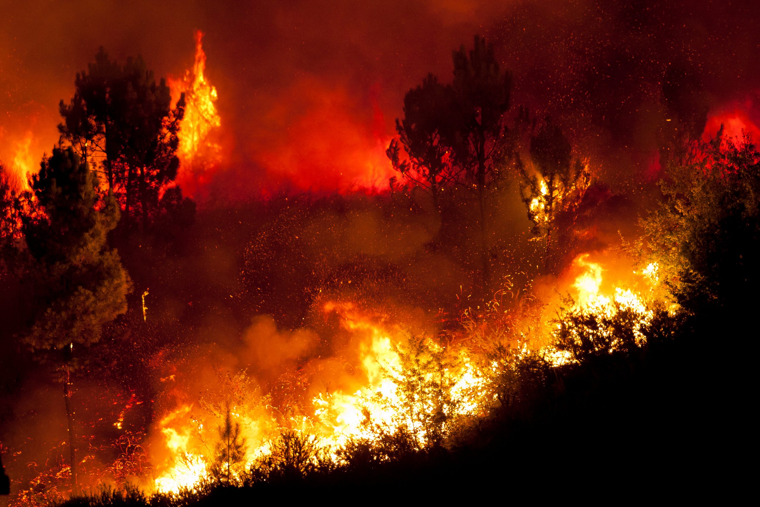 Mosquito Fire: Forest Service seizes PG&E equipment