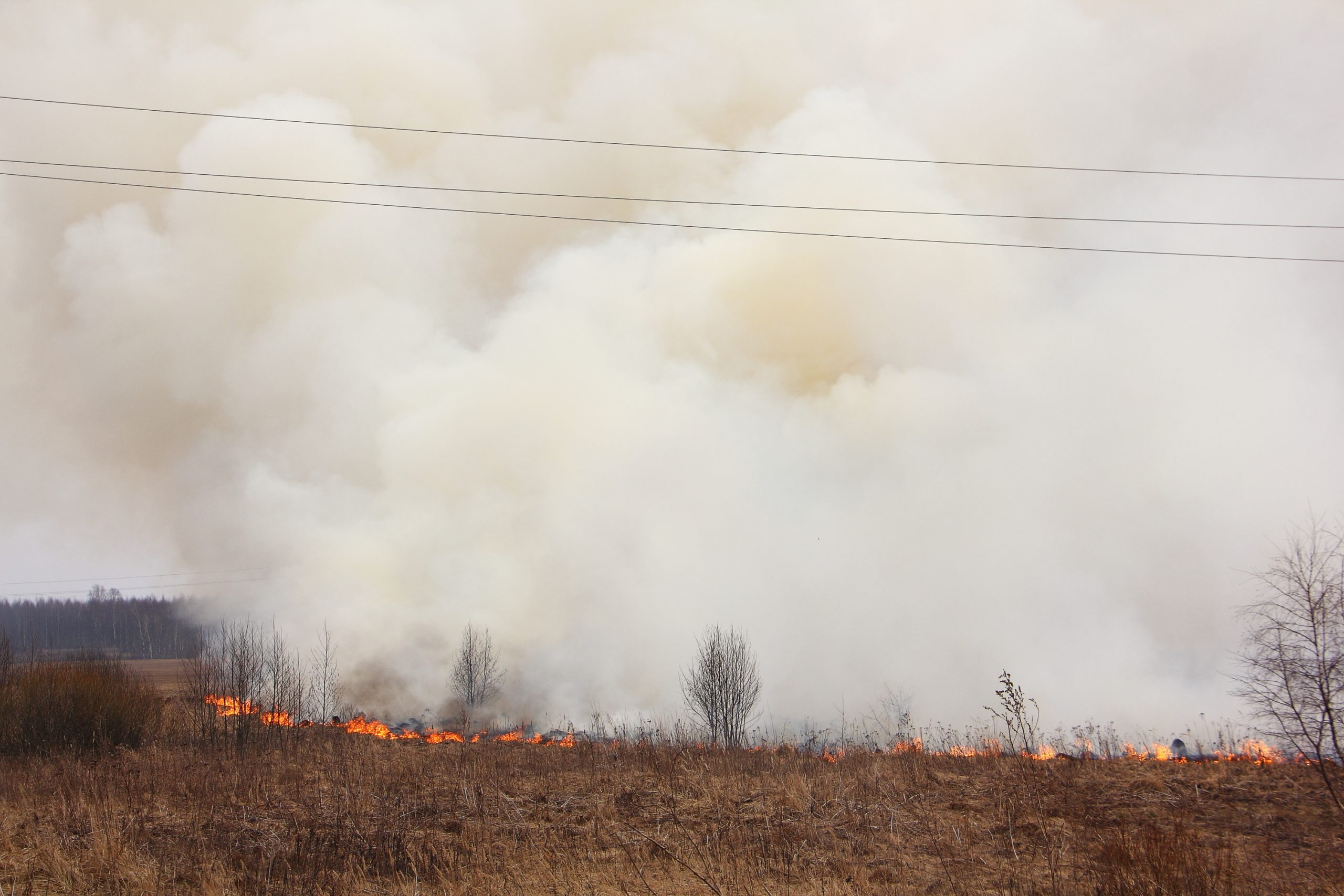 Lawsuit alleges that Northern California utility PacifiCorp sparked deadly McKinney Fire