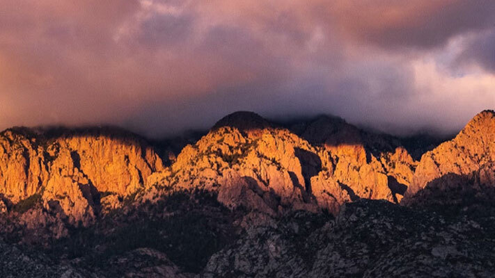 The Devastating Impact the Eaton Wildfire Had on the Altadena Community