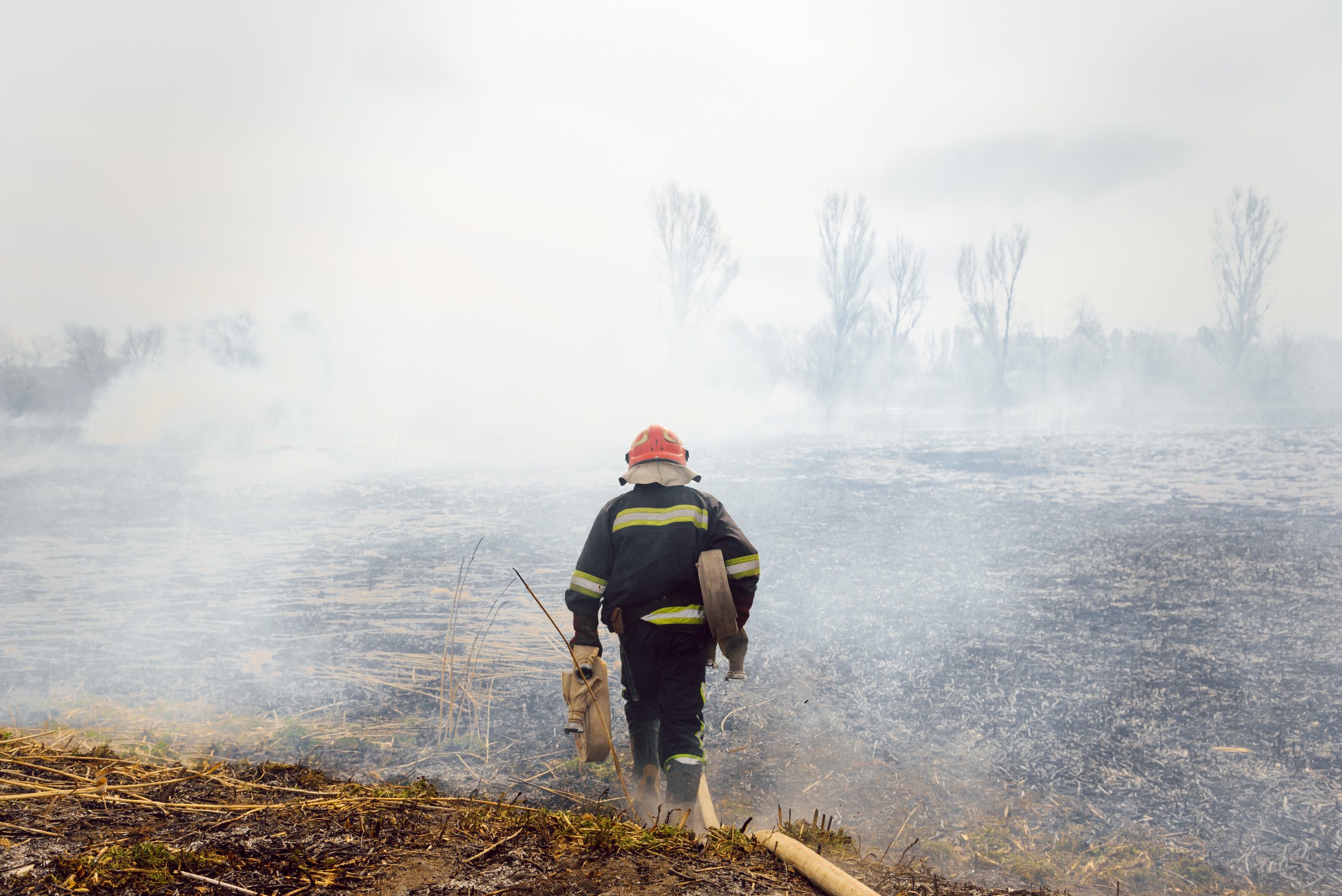 Forest service launches criminal probe into PG&E role in Mosquito fire