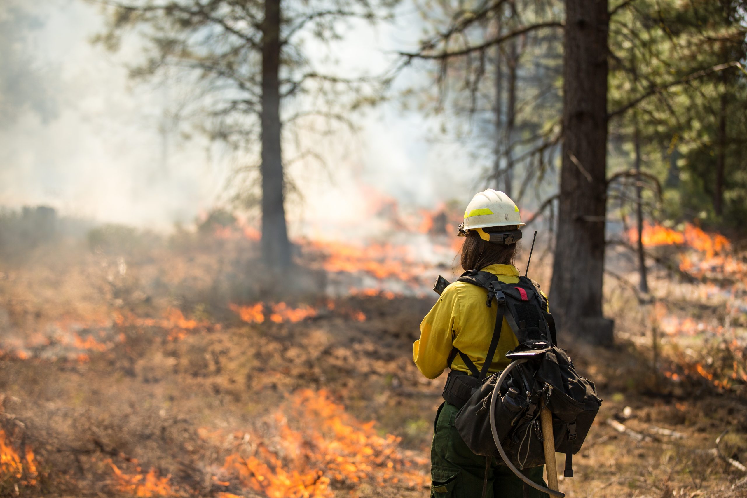 Feds seize PG&E equipment as part of investigation into Mosquito Fire